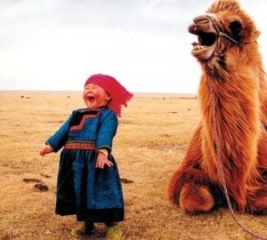 Life is short. Add joy!